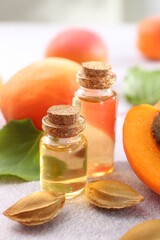 Aromatic essential oil in bottles, seeds and ripe apricots on light textured table, closeup