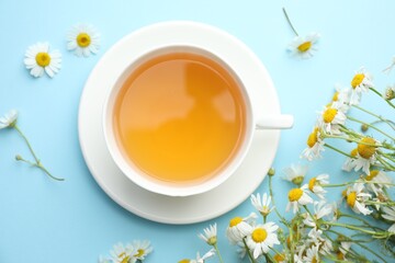 Tasty chamomile tea and flowers on light blue background, flat lay