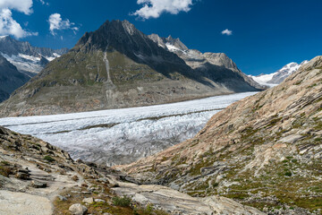 Gro&szlig;er Aletschgletscher und Olmenhorn, Wallis, Schweiz