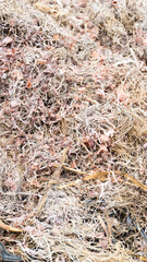 Textured close-up of a pile of dried onion leaves and fibrous, tangled plant remnants