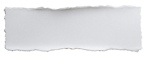 A rectangular piece of ripped white paper (1)