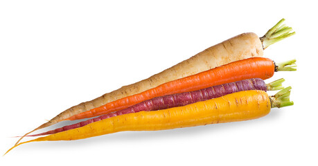 a variety of colorful carrots on a black backdrop