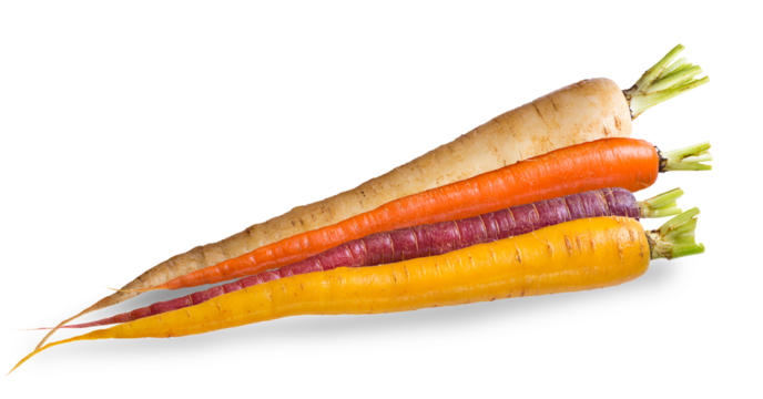 a variety of colorful carrots on a black backdrop