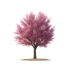 Obraz premium Vibrant pink tree with lush foliage on a natural ground, ideal for nature-themed projects, illustrations, or decorative purposes.