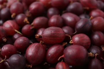 Fresh ripe red gooseberries as background, closeup