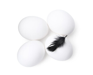 Raw chicken eggs with feather isolated on white, top view