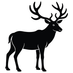 wapiti vector