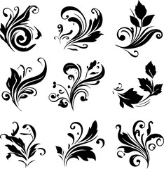 Elegant Floral Swirl Vectors Collection