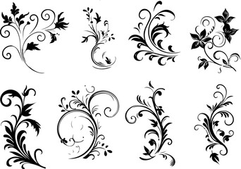 Elegant Floral Swirl Vectors Collection