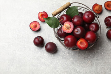 Ripe cherry plums, green leaves and metal basket on grey textured table, flat lay. Space for text