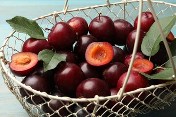 Whole, cut cherry plums and green leaves in white basket on light blue wooden table, closeup