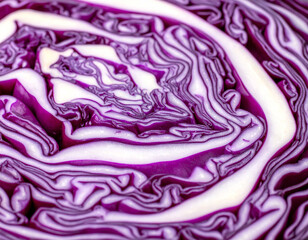 Obraz premium Vibrant Macro of a Sliced Red Cabbage Head Revealing Intricate Purple and White Layers