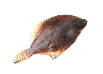Fresh raw flounder fish isolated on white, top view. Seafood