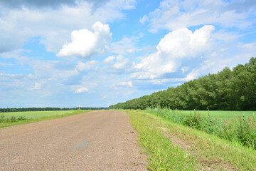 empty Gravel Road Through Rural Landscape Under Cloudy Sky travelling