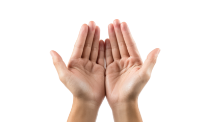 Two hands palms up, in prayer pose