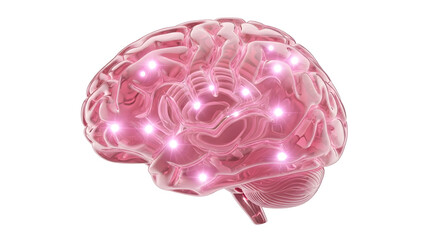A vibrant, 3D brain model with glowing connections. For illustrating innovation, mental health, or the power of the mind. Ideal for medical, tech, and educational projects. Isolated white background