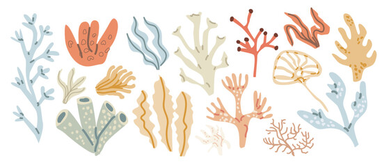 Colorful underwater coral and seaweed collection illustrating marine diversity.