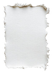 Obraz premium Blank, off-white paper rectangle with a textured, uneven edge