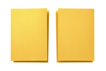 Two blank, golden rectangles, slightly raised, with a textured surface and outlined edges