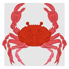 Vintage illustration in Mediterranean sketch style, Italian motives, Amalfi coast, food, market, dolce vita and retro design