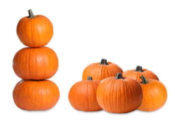 studio shot of pumpkins against a stark transparent background