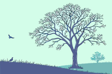 Obraz premium Baum auf einem Hügel mit einem Vogel – druckbare Naturszene