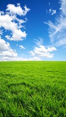 Wide grassy plain under a vibrant blue sky