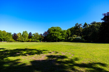Plain Landscape With Green Grass