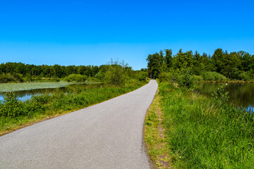 Cycle path or pedestrian path between two ponds in De Wijers, leafy trees against blue sky, getting...