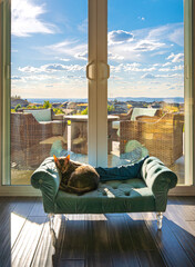 A gray tabby cat sleeps on a miniature pet sofa in front of sliding glass doors overlooking a patio with furniture and view of the city.