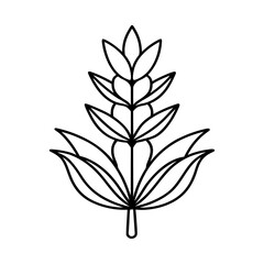 lavender flower line art