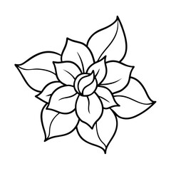 jasmine flower line art