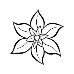 jasmine flower vector