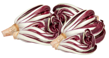 beautiful arrangement of fresh radicchio heads