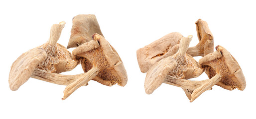 Fototapeta premium dried wood ear mushrooms adding a unique culinary texture and visual interest