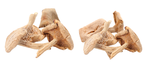 dried wood ear mushrooms adding a unique culinary texture and visual interest