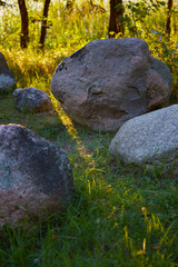 stone in the forest