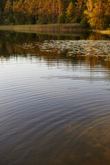 sundown. reflection of trees in water. Lake  in Belarus. Ucklya