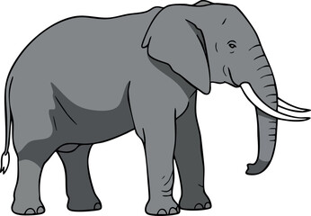 Fototapeta premium Elephant standing side view simple grey vector illustration design animal wildlife image 