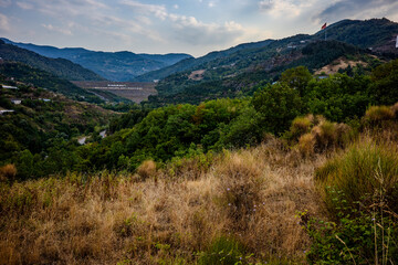 Wide valley view in Başiskele, Kocaeli, Türkiye, featuring dry grass in the foreground, dense green forests, and a distant Turkish flag atop a hill under a partly cloudy sky.