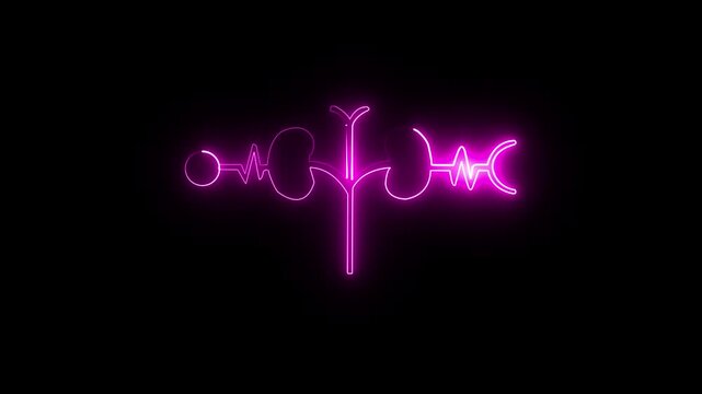 glowing kidney icon 4k animation by cyan pink neon on black background. Glowing Human kidney icon animation. Glowing neon human kidneys.heart symbol.
