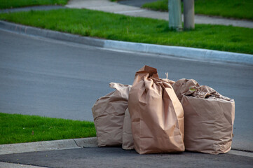 A close-up of several large brown paper bags filled with yard waste or leaves, sitting on the edge of a curb on a suburban street. The green lawn and street are visible in the background.