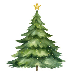 Fototapeta premium PNG Christmas tree plant christmas tree.