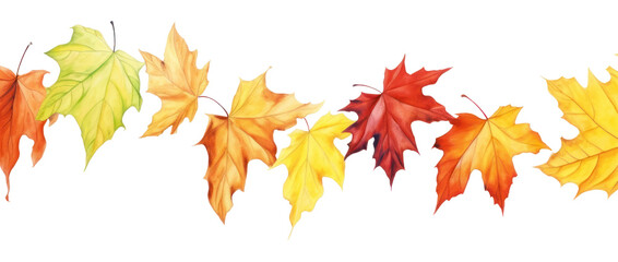 Fototapeta premium PNG Autumn leave backgrounds leaves maple.
