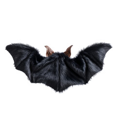Obraz premium Majestic bat in flight transparent background wildlife photography studio environment close-up view