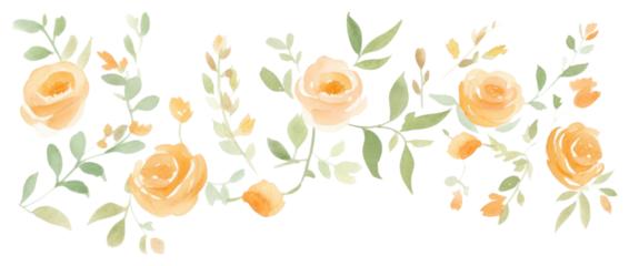 PNG Orange roses as line watercolour illustration backgrounds pattern flower.