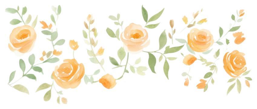 PNG Orange roses as line watercolour illustration backgrounds pattern flower. - Powered by Adobe