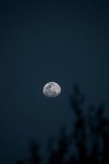 moon in the sky