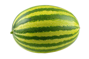 Oval striped melon, bright green and yellow