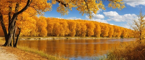 Wonderful autumn landscape. Nature in orange tones.